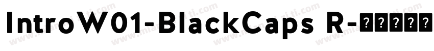 IntroW01-BlackCaps R字体转换